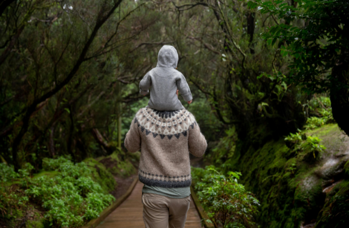 i benefici del forest bathing