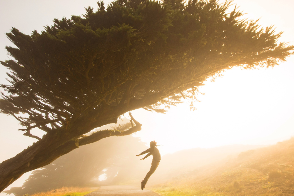 Come costruire la motivazione secondo la psicologia
