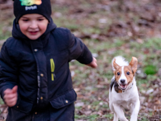 Bambini e cani: la meraviglia di crescere insieme